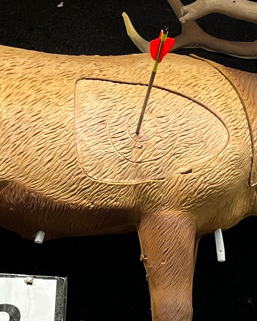 Practice Makes Perfect! | Top Pin Archery Pro Shop